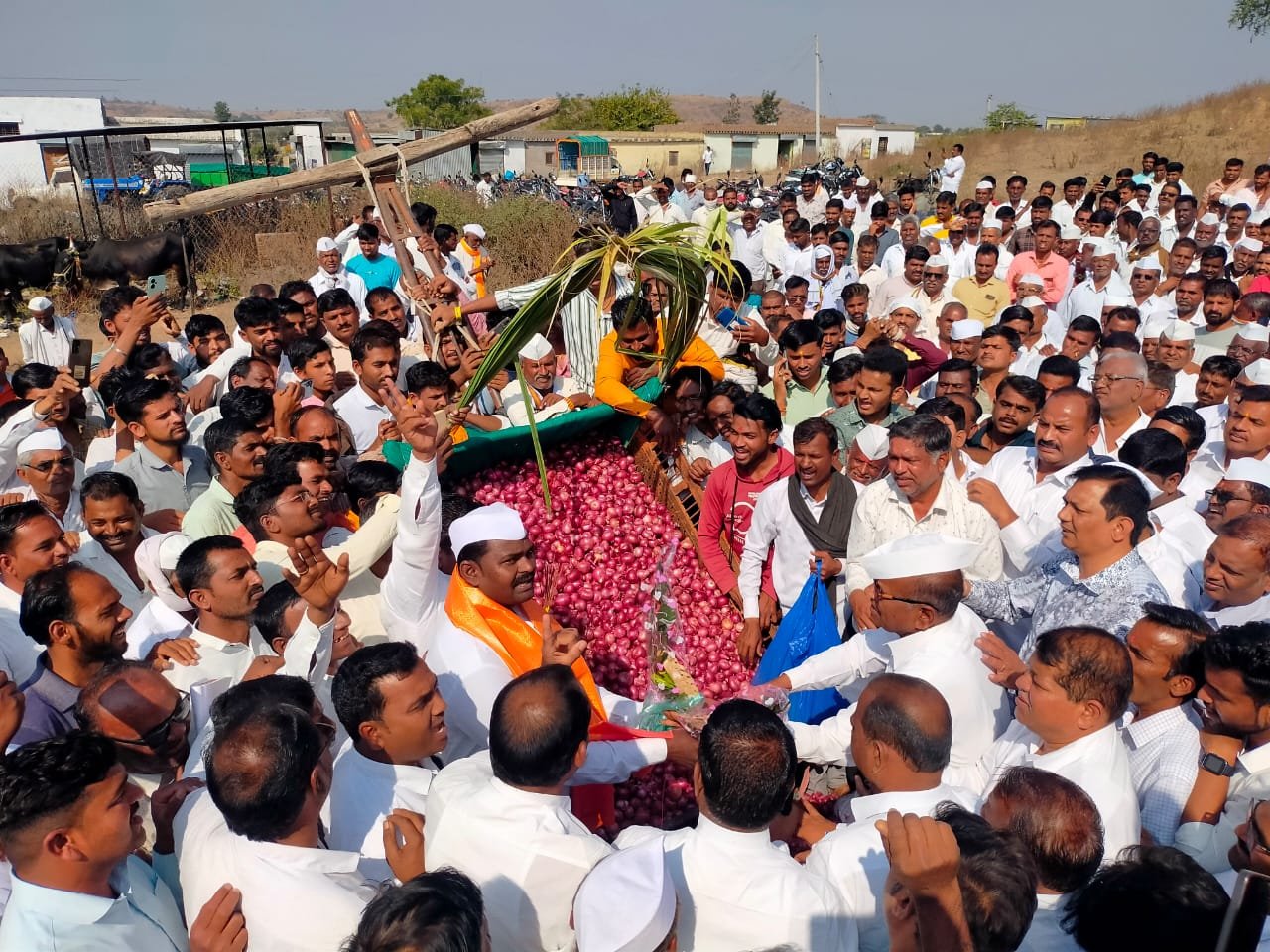 खरेदी विक्री केंद्र डोंगरगांव कांदा लिलाव शुभारंभ